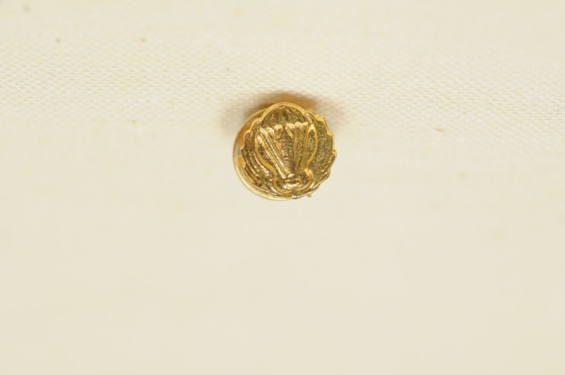 Pin Parà