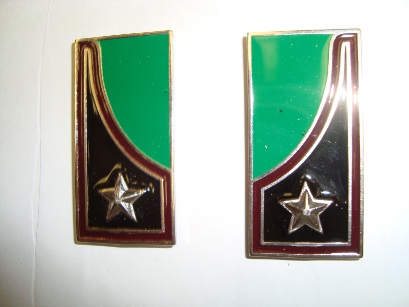 Mostrine Genio Truppe da Montagna E.I.