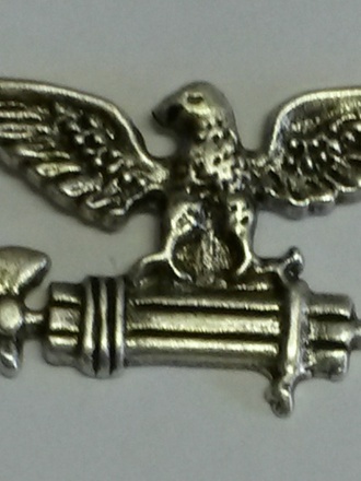 Spilla pin fascio