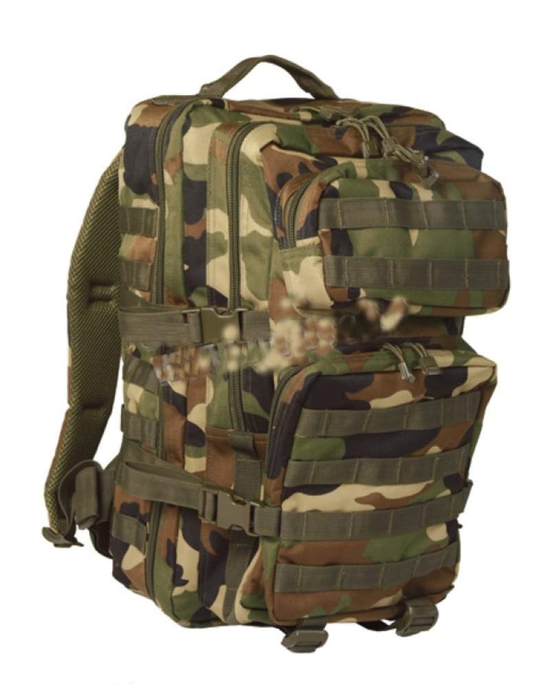 Zaino MOLLE 40 litri large woodland