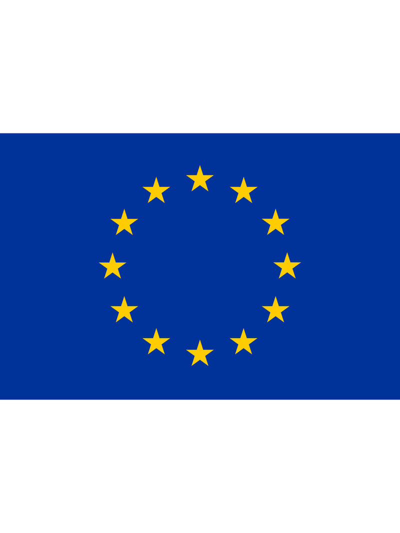 Bandiera EU Unione Europea 100x150 cm